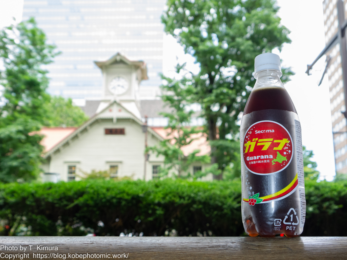 セイコーマートとレジ袋 雑食カメラマンの雑感記