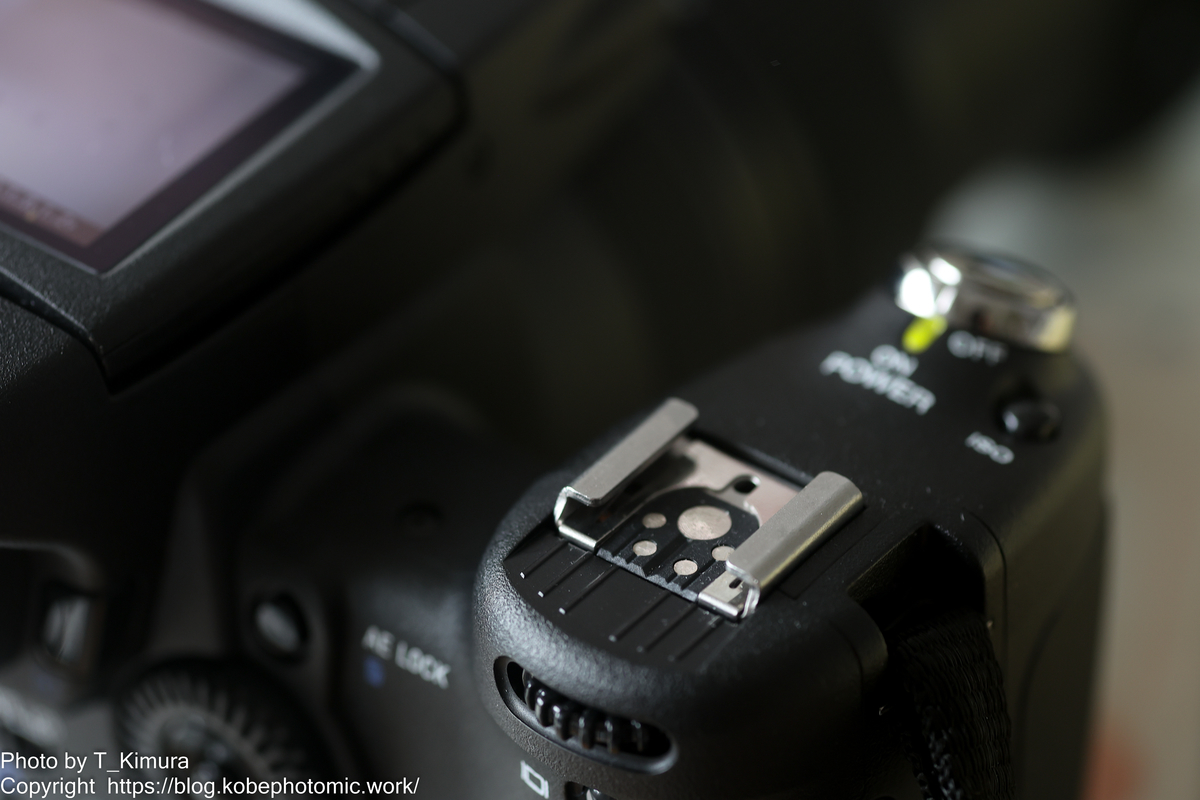 SONY Cyber-shot DSC-R1 - 雑食カメラマンの雑感記