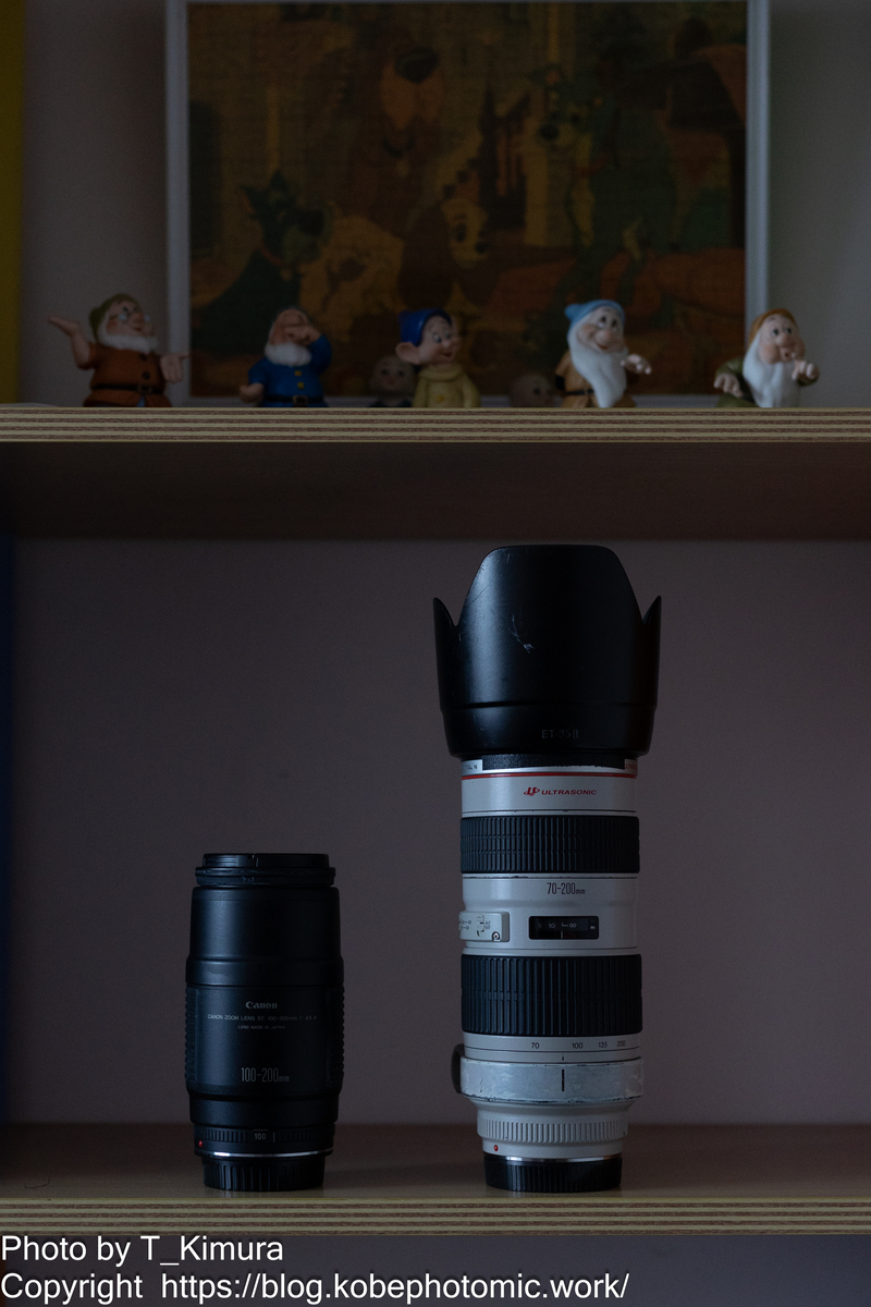 黴玉EF100-200㎜F4.5A - 雑食カメラマンの雑感記