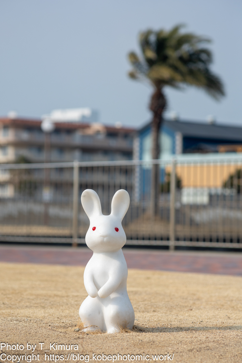 うさぎさん - 雑食カメラマンの雑感記 うさぎさん - 雑食カメラマンの雑感記