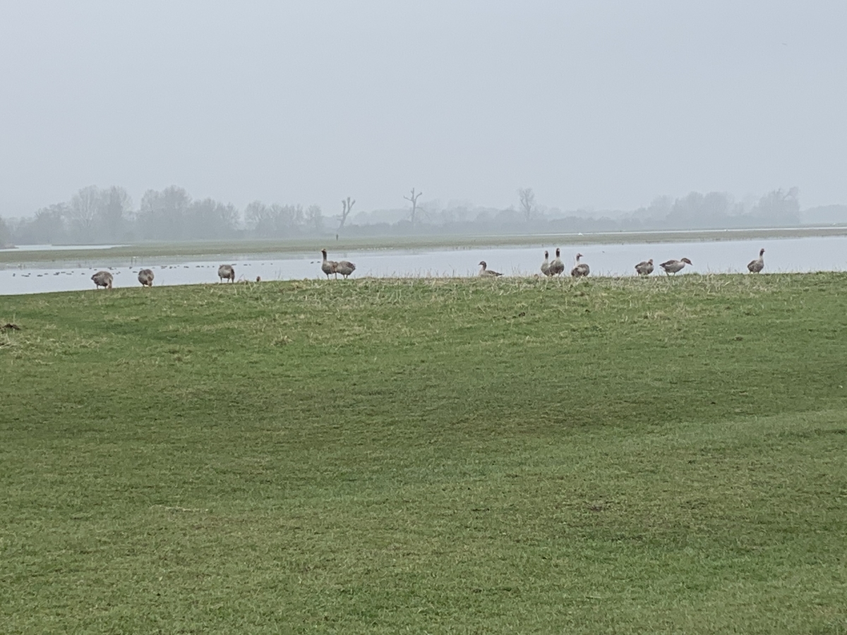 f:id:T_Nishimura:20210303172656j:plain