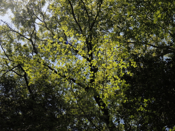 f:id:T_O_E:20130428132148j:image f:id:T_O_E:20130428132148j:image