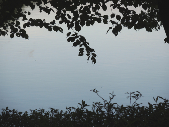 f:id:T_O_E:20130906163640j:image