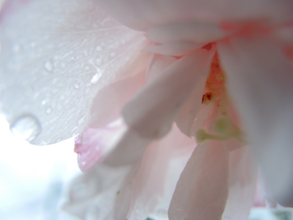 f:id:T_O_E:20130916083555j:image