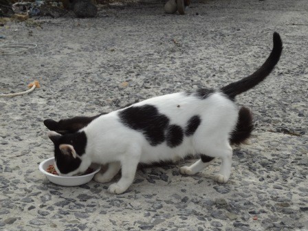 f:id:T_S:20140915131513j:image:left