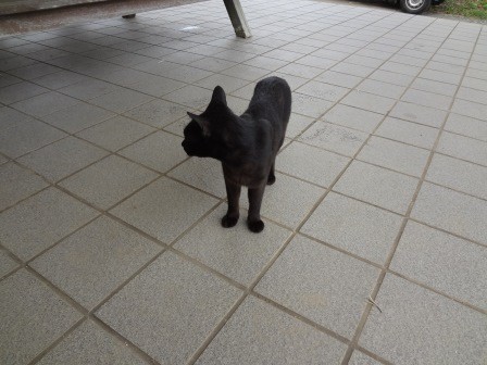 f:id:T_S:20140915134010j:image:left