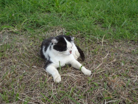 f:id:T_S:20140915134527j:image:left