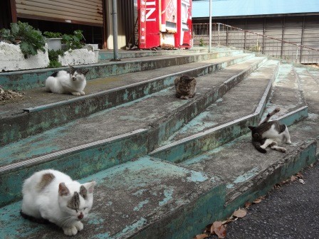 f:id:T_S:20140915140554j:image:left