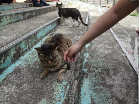 f:id:T_S:20140915140652j:image:left