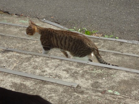 f:id:T_S:20140915142053j:image:left