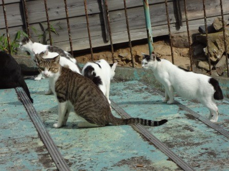 f:id:T_S:20140915142111j:image:left