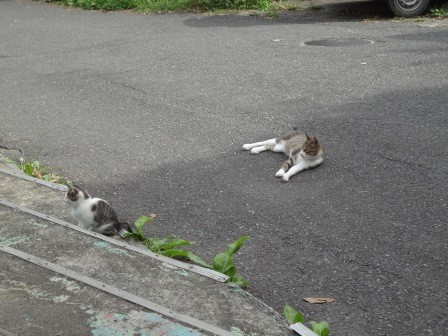 f:id:T_S:20140915142828j:image:left