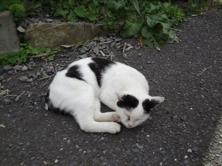 f:id:T_S:20140915143311j:image:left