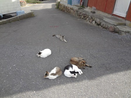 f:id:T_S:20140915143343j:image:left