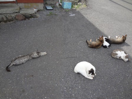 f:id:T_S:20140915143640j:image:left