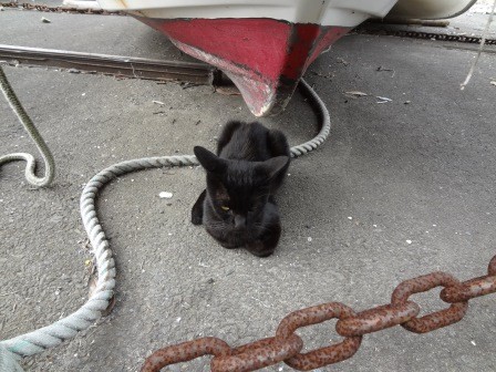 f:id:T_S:20140915151931j:image:left