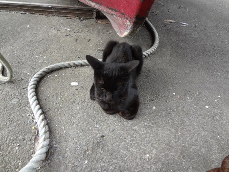 f:id:T_S:20140915151947j:image:left