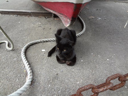 f:id:T_S:20140915151953j:image:left