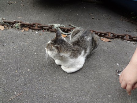 f:id:T_S:20140915152119j:image:left