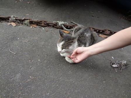 f:id:T_S:20140915152135j:image:left