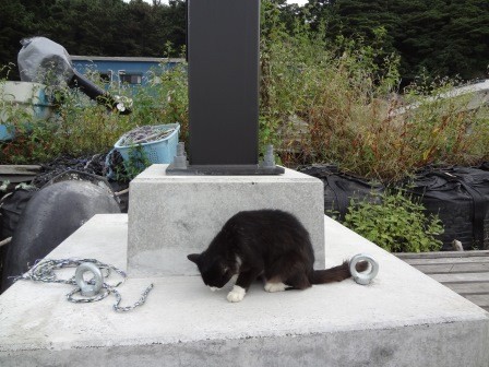 f:id:T_S:20140915152606j:image:left