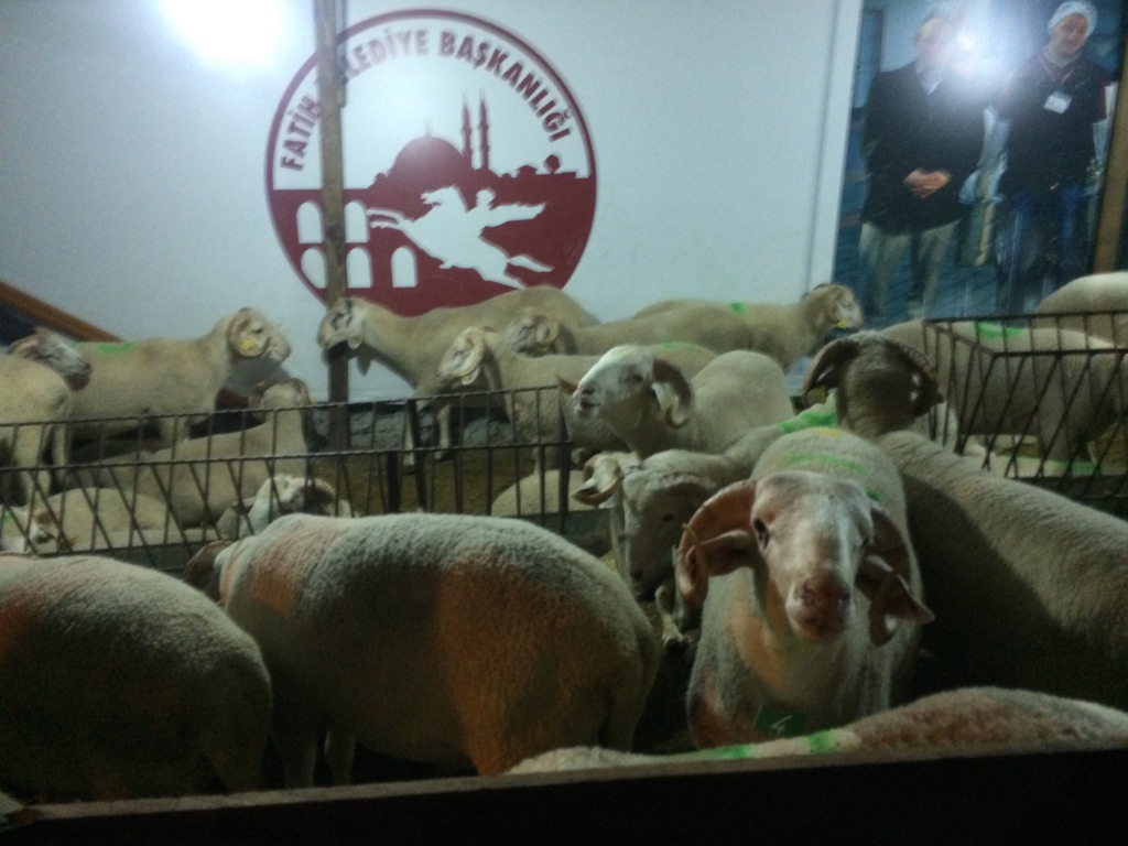 f:id:T_TAPER:20131015022300j:plain f:id:T_TAPER:20131015022300j:plain