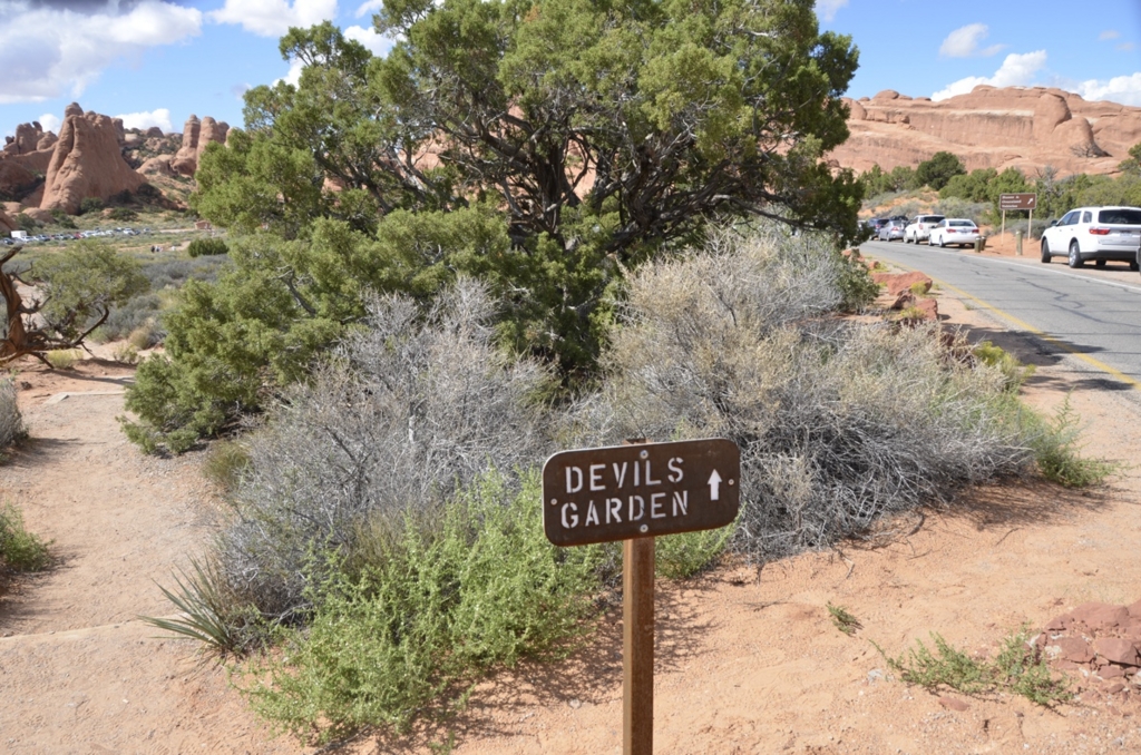 f:id:T_TAPER:20150727164158j:plain f:id:T_TAPER:20150727164158j:plain