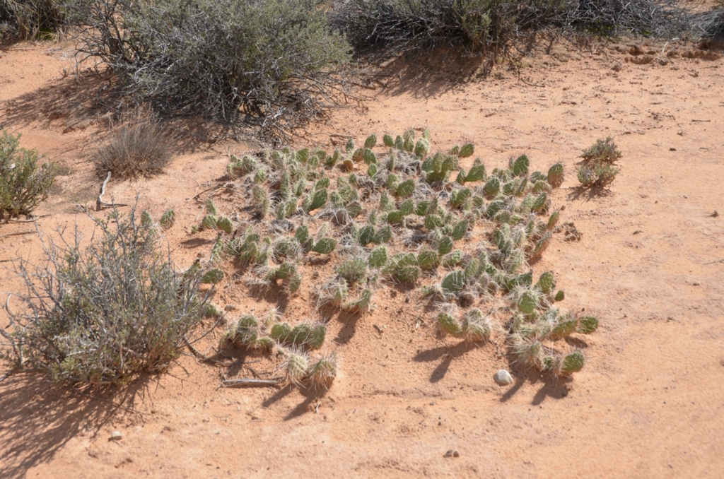 f:id:T_TAPER:20150727164318j:plain f:id:T_TAPER:20150727164318j:plain