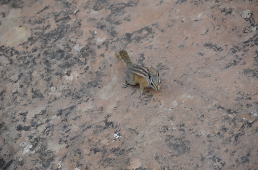 f:id:T_TAPER:20150727164426j:plain f:id:T_TAPER:20150727164426j:plain