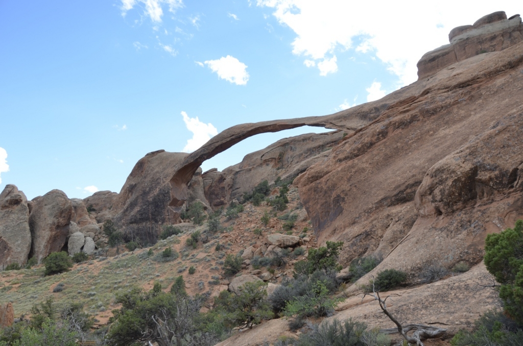 f:id:T_TAPER:20150727165328j:plain f:id:T_TAPER:20150727165328j:plain