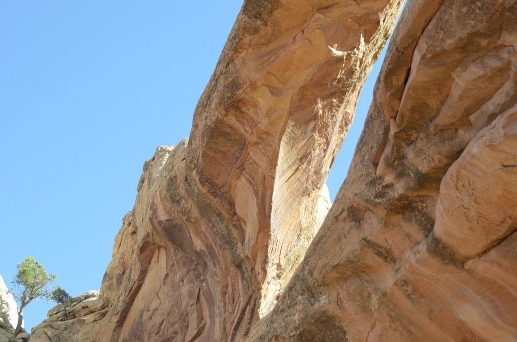 f:id:T_TAPER:20150727165724j:plain f:id:T_TAPER:20150727165724j:plain