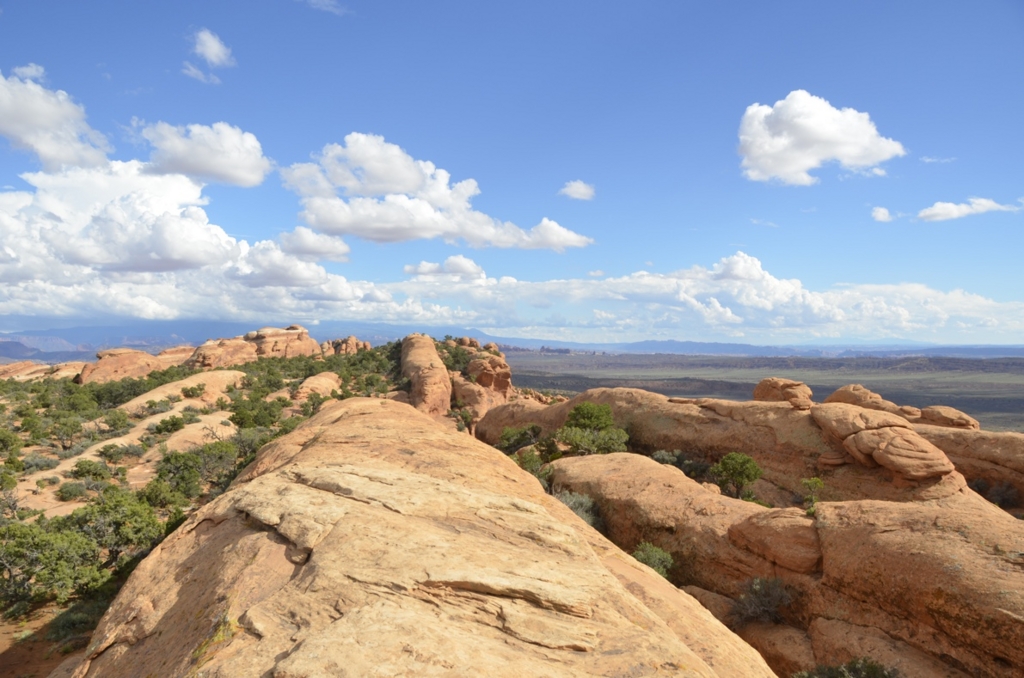 f:id:T_TAPER:20150727165804j:plain f:id:T_TAPER:20150727165804j:plain