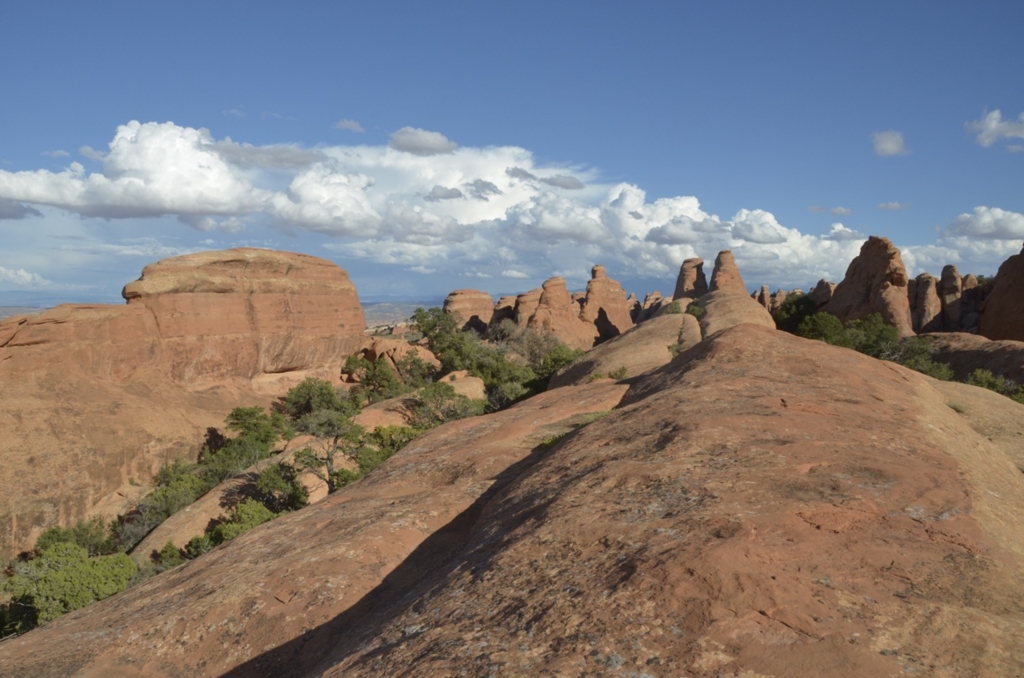 f:id:T_TAPER:20150727165828j:plain f:id:T_TAPER:20150727165828j:plain