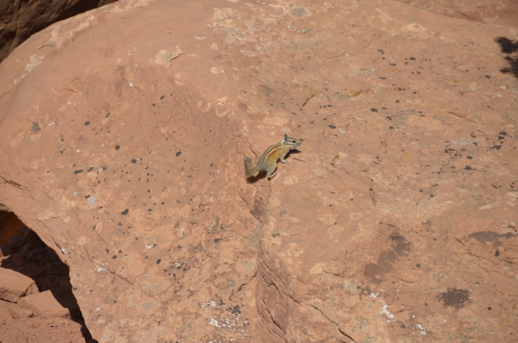 f:id:T_TAPER:20150727165856j:plain f:id:T_TAPER:20150727165856j:plain