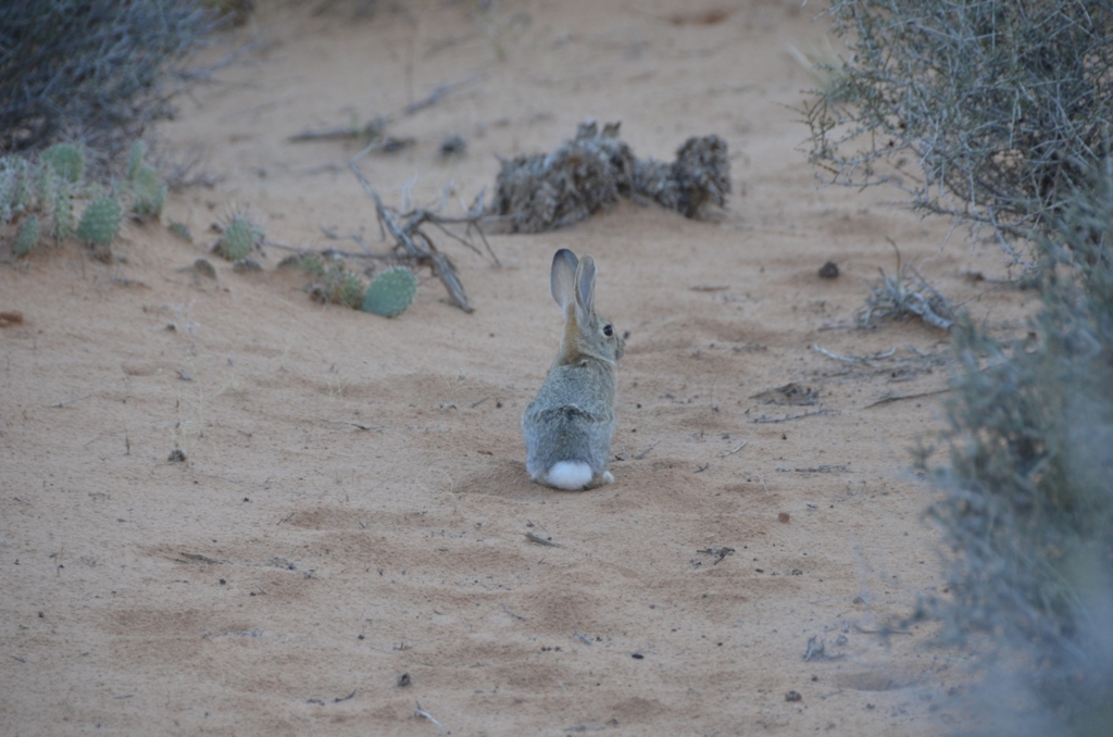 f:id:T_TAPER:20150727165920j:plain f:id:T_TAPER:20150727165920j:plain