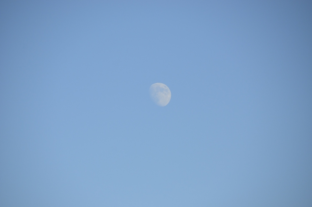 f:id:T_TAPER:20150727170042j:plain f:id:T_TAPER:20150727170042j:plain