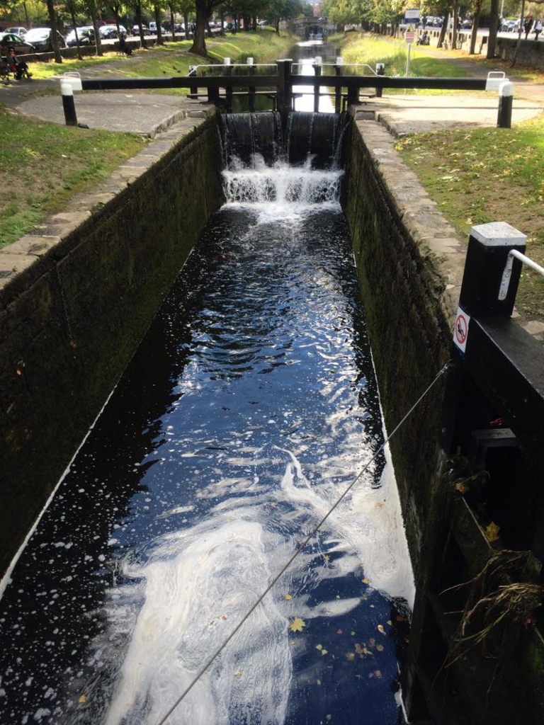 f:id:T_TAPER:20161213044122j:plain f:id:T_TAPER:20161213044122j:plain