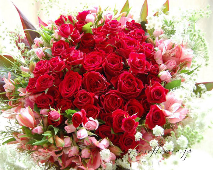 f:id:T_YAMADA:20191120203715j:plain