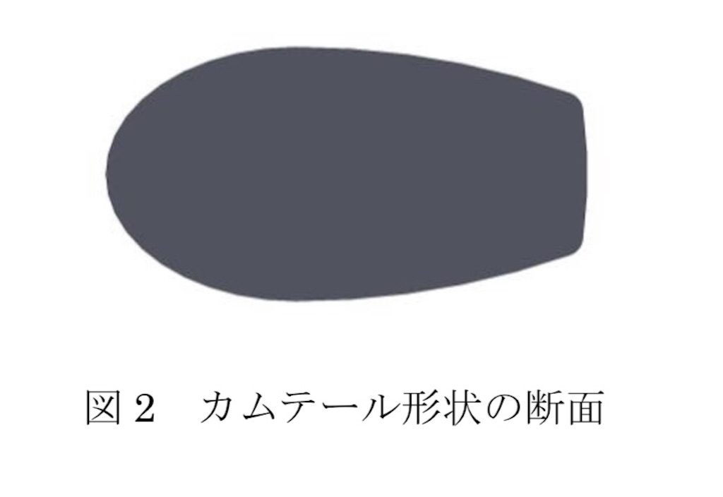 f:id:T_cell_receptor:20210208183947j:image f:id:T_cell_receptor:20210208183947j:image