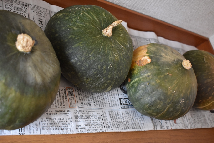 かぼちゃフェスティバル開催中 - おやつく日記