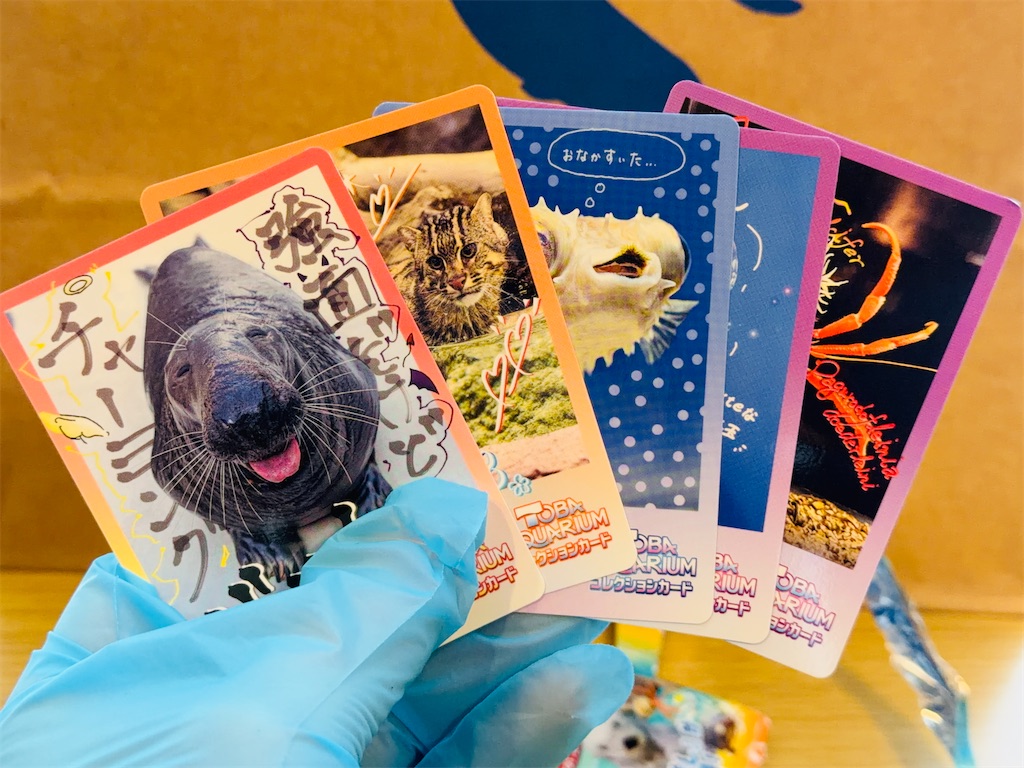 パック開封】鳥羽水族館の生き物のカード - ちりめんじゃこの命
