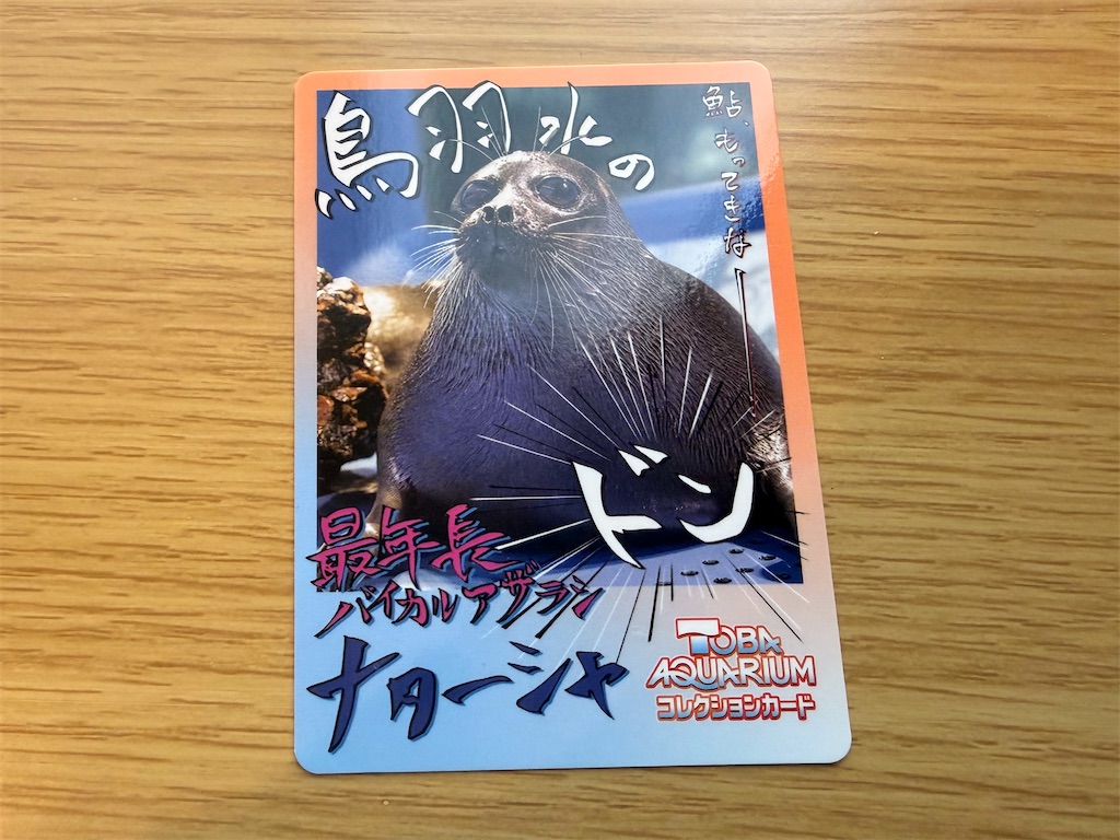 【極美品】ヤドン ● 拡張パック第3弾 海からの風 【希少】 パック開封】鳥羽水族館の生き物のカード - ちりめんじゃこの命