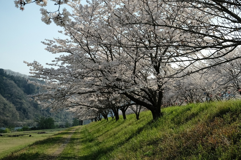 f:id:Ta-nya:20200405140844j:plain f:id:Ta-nya:20200405140844j:plain