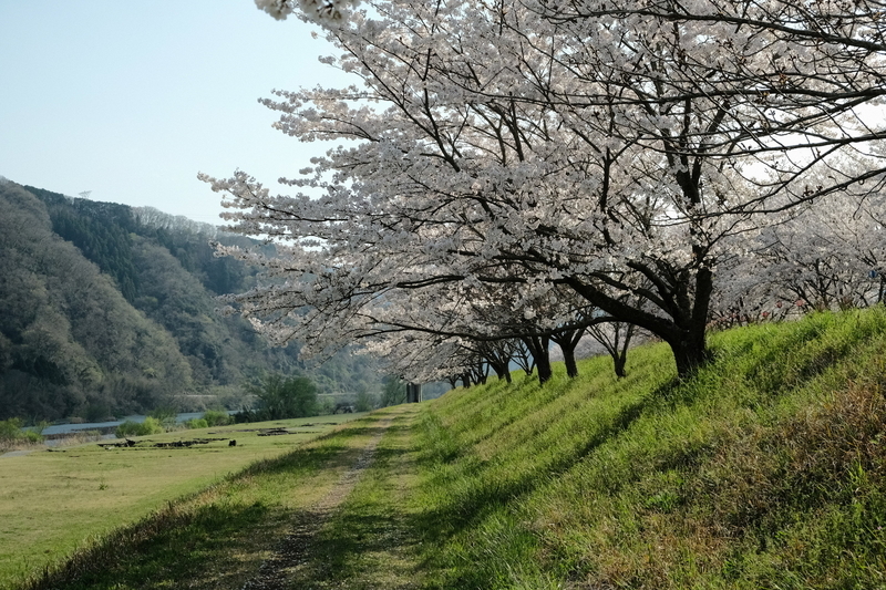 f:id:Ta-nya:20200405140904j:plain f:id:Ta-nya:20200405140904j:plain