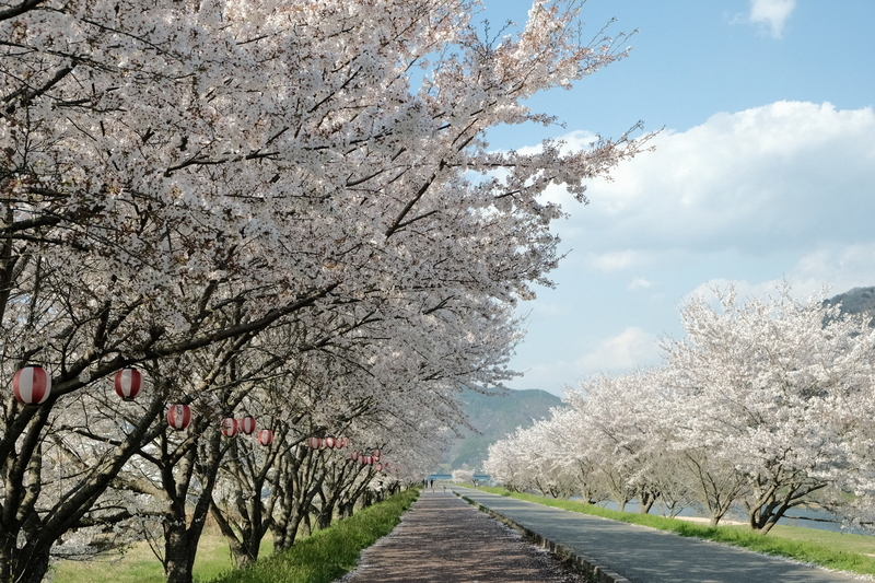 f:id:Ta-nya:20200405141309j:plain