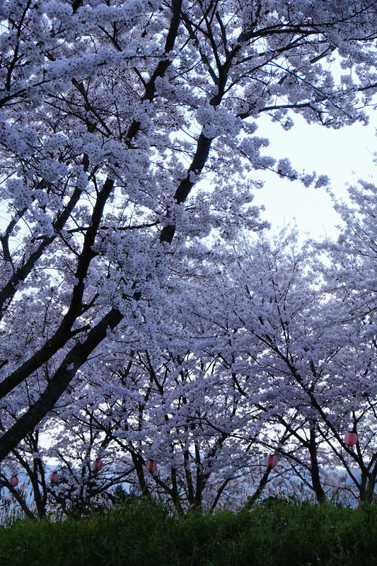 f:id:Ta-nya:20200405143851j:plain