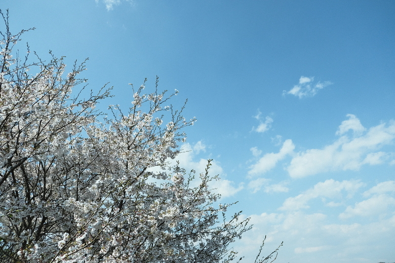 f:id:Ta-nya:20200405145320j:plain