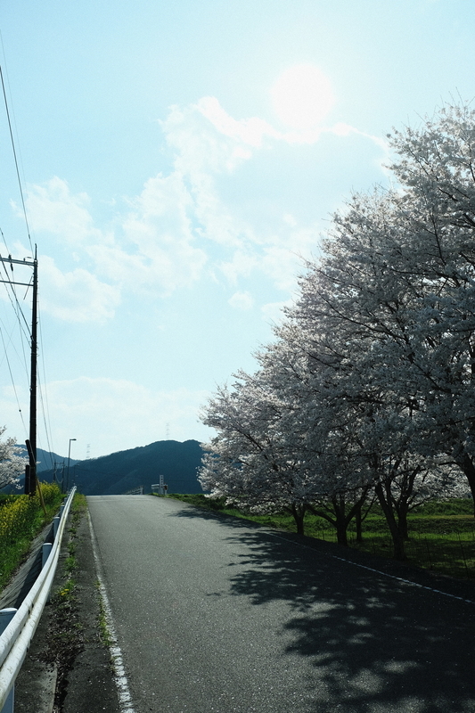 f:id:Ta-nya:20200405145444j:plain
