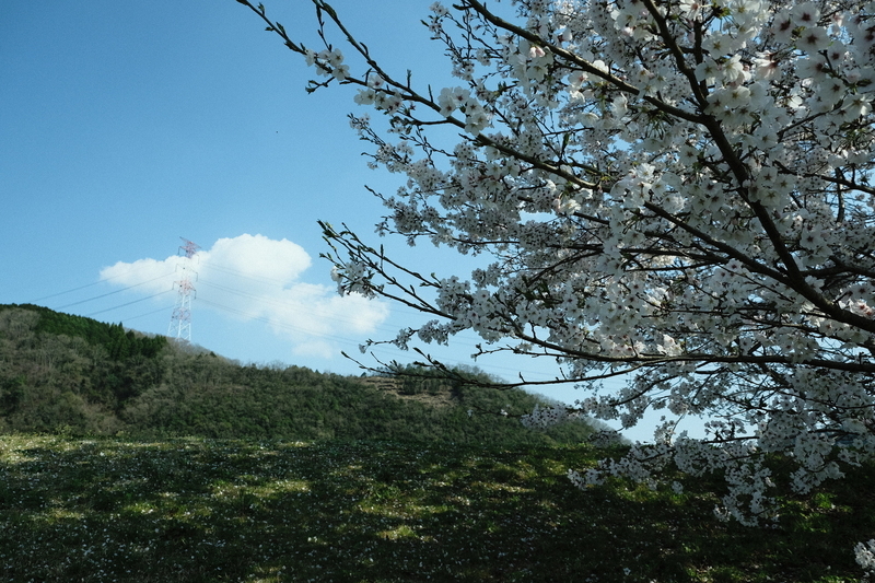 f:id:Ta-nya:20200405145631j:plain