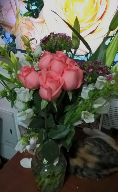 f:id:Ta_Howait:20170511220319j:plain f:id:Ta_Howait:20170511220319j:plain